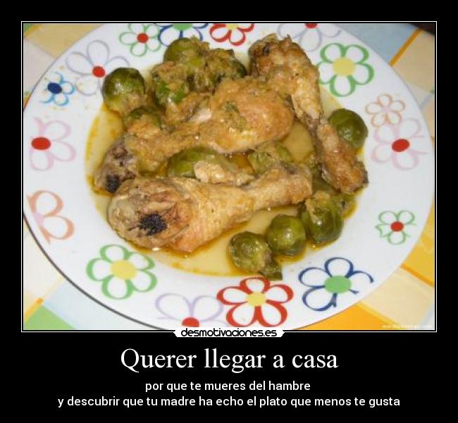 Querer llegar a casa - por que te mueres del hambre
y descubrir que tu madre ha echo el plato que menos te gusta