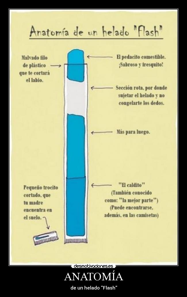carteles helado flash anatomia desmotivaciones