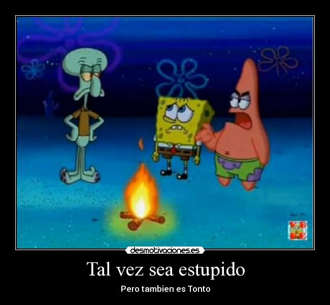 Tal vez sea estupido - Pero tambien es Tonto