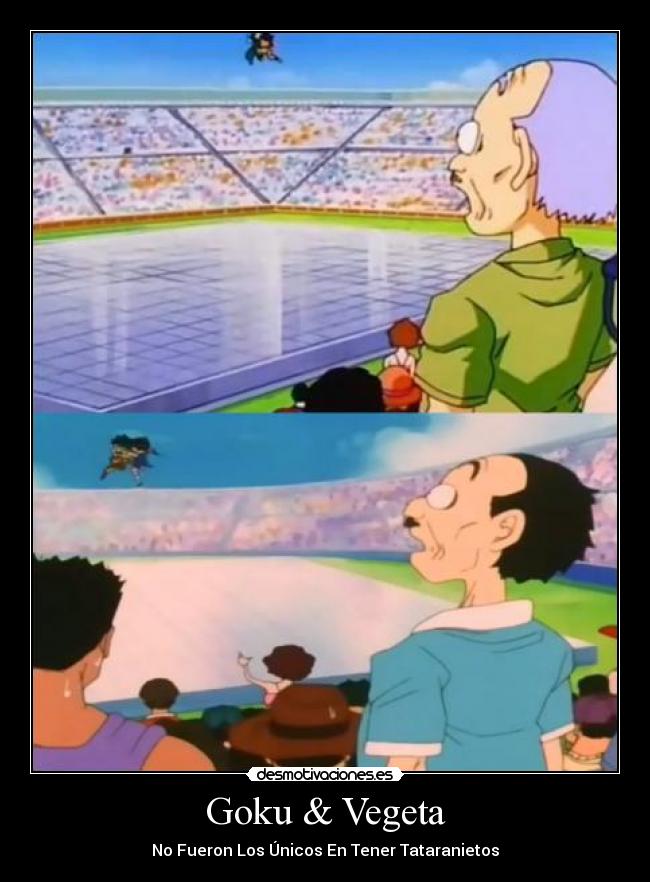 Goku & Vegeta - 