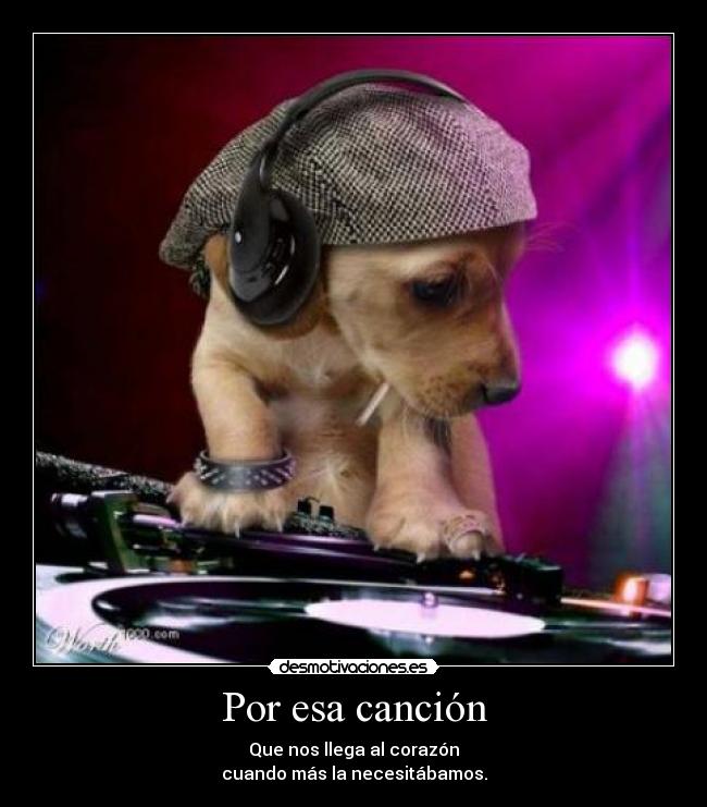 carteles por esa cancion desmotivaciones