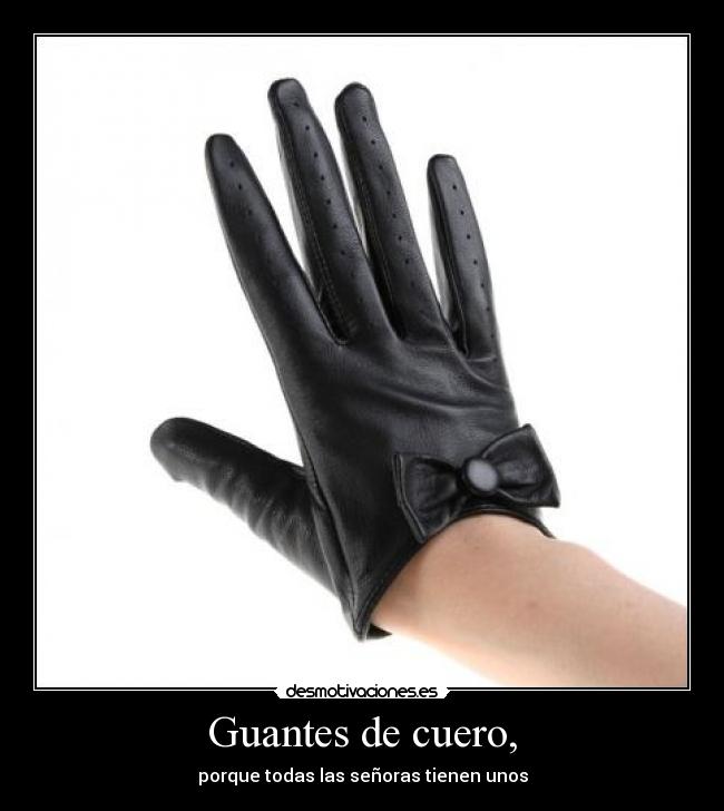 carteles guantes cuero senoras desmotivaciones