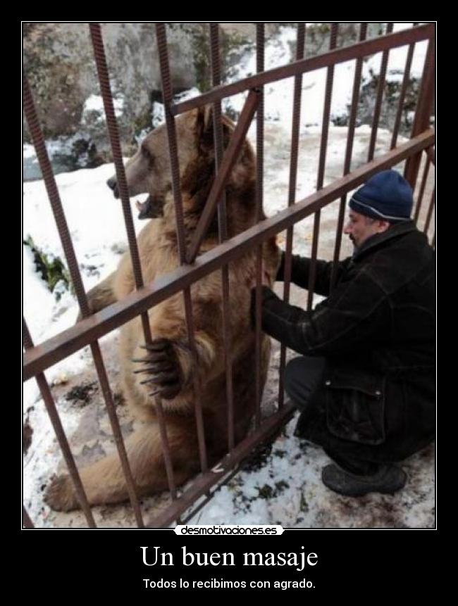 carteles nersa desmotivaciones