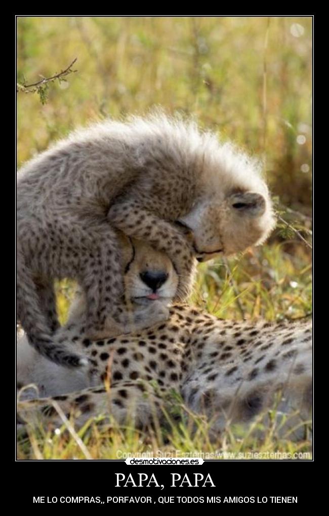 PAPA, PAPA - ME LO COMPRAS,, PORFAVOR , QUE TODOS MIS AMIGOS LO TIENEN