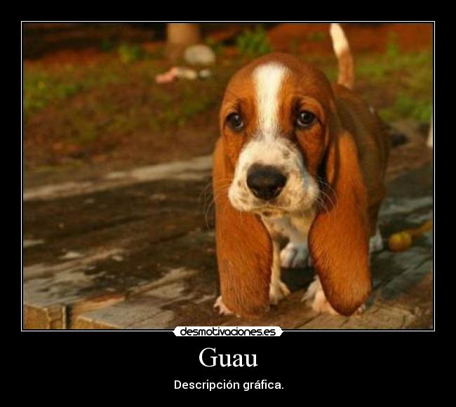 Guau - Descripción gráfica.