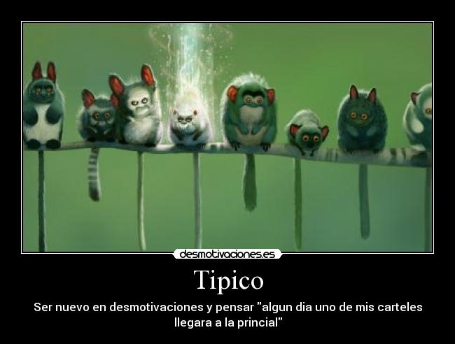 Tipico -