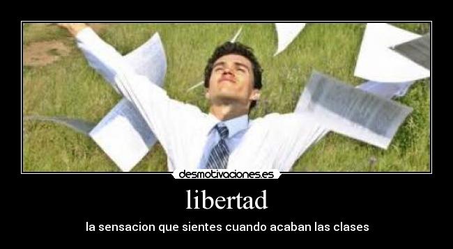 carteles libertad liz94 desmotivaciones