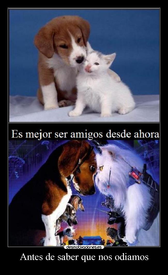 Antes de saber que nos odiamos -