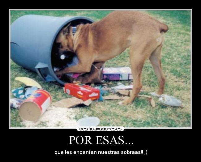 POR ESAS... - que les encantan nuestras sobraas!! ;)
