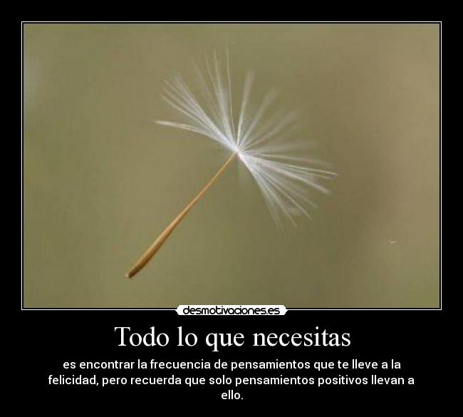 Todo lo que necesitas - es encontrar la frecuencia de pensamientos que te lleve a la
felicidad, pero recuerda que solo pensamientos positivos llevan a
ello.