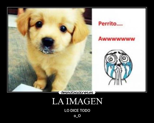 LA IMAGEN - LO DICE TODO
o_O