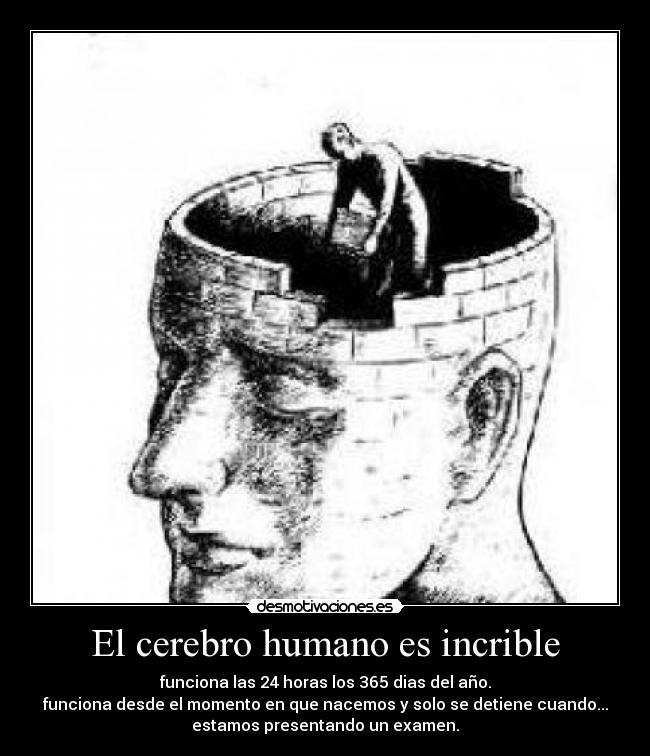 El cerebro humano es incrible - 