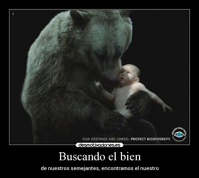 Buscando el bien - de nuestros semejantes, encontramos el nuestro