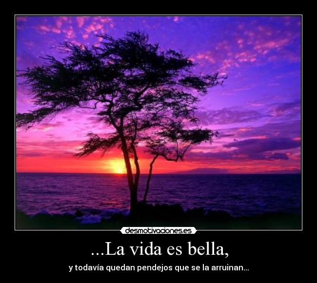 ...La vida es bella, -