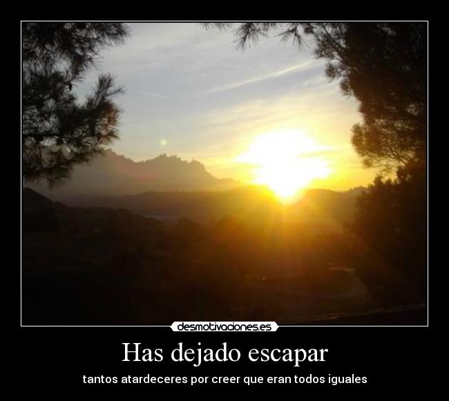 carteles palomitademaiz desmotivaciones