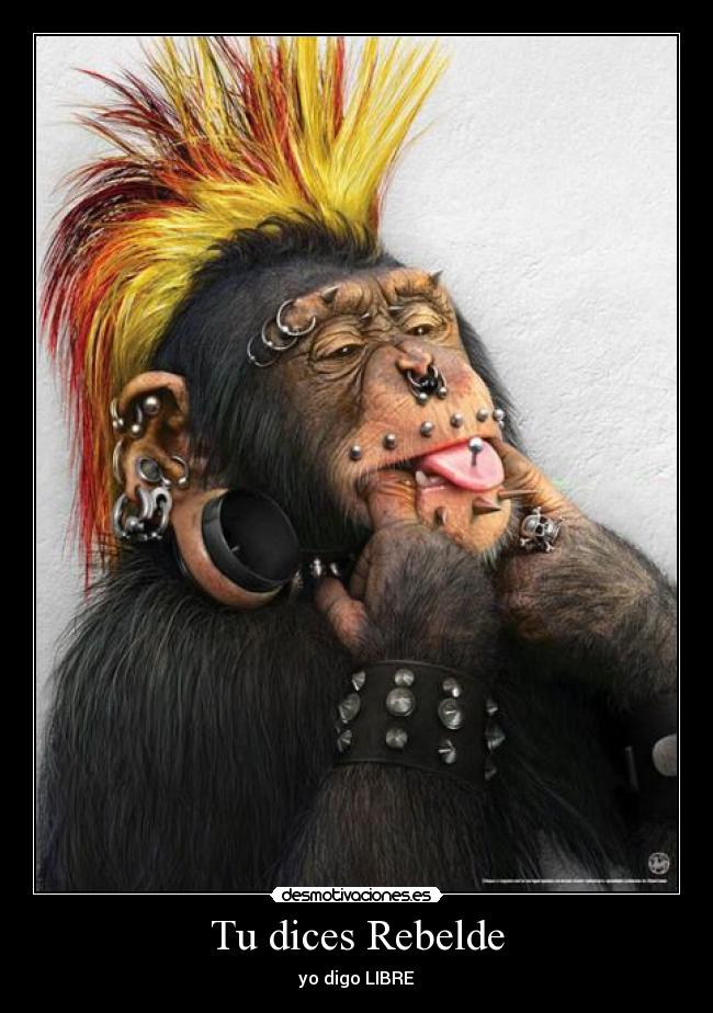 Tu dices Rebelde - yo digo LIBRE