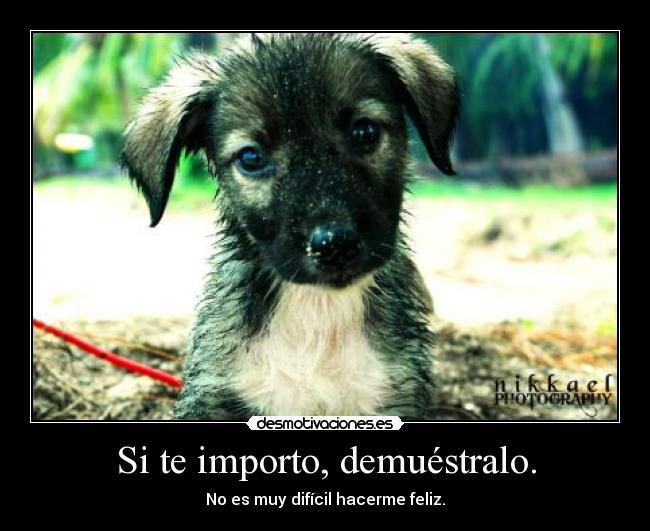 Si te importo, demuéstralo. -