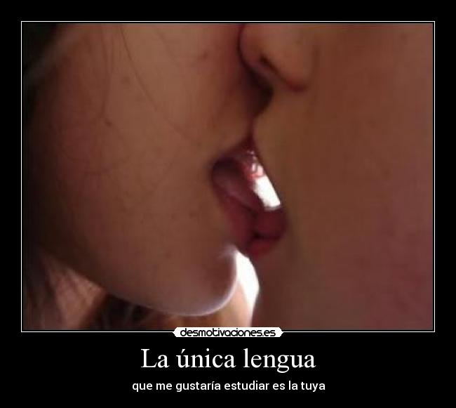 La única lengua - 
