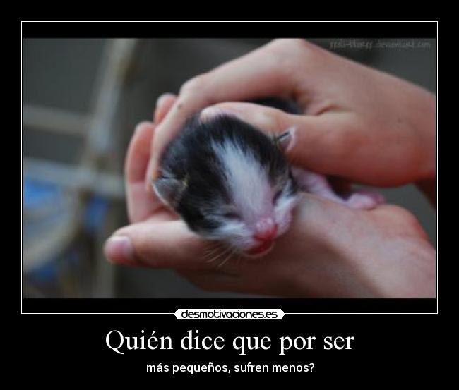 Quién dice que por ser - más pequeños, sufren menos?
