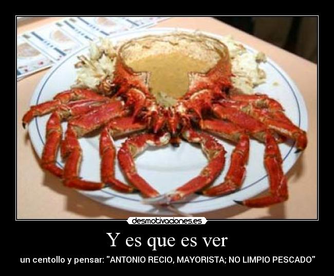 Y es que es ver - un centollo y pensar: ANTONIO RECIO, MAYORISTA; NO LIMPIO PESCADO