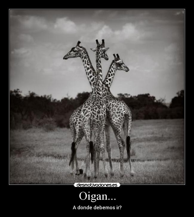 Oigan... - A donde debemos ir?