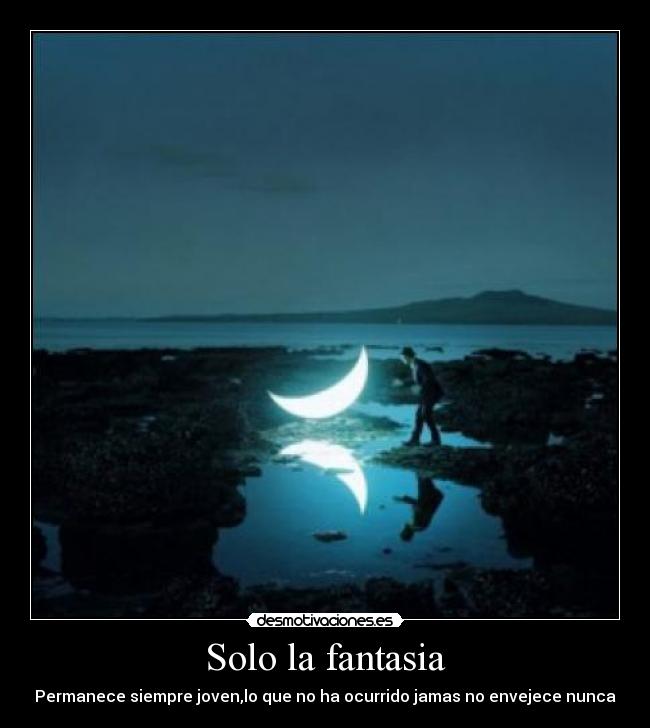 Solo la fantasia -