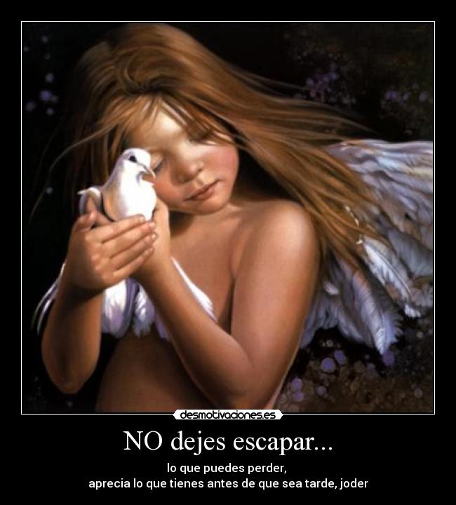 NO dejes escapar... -