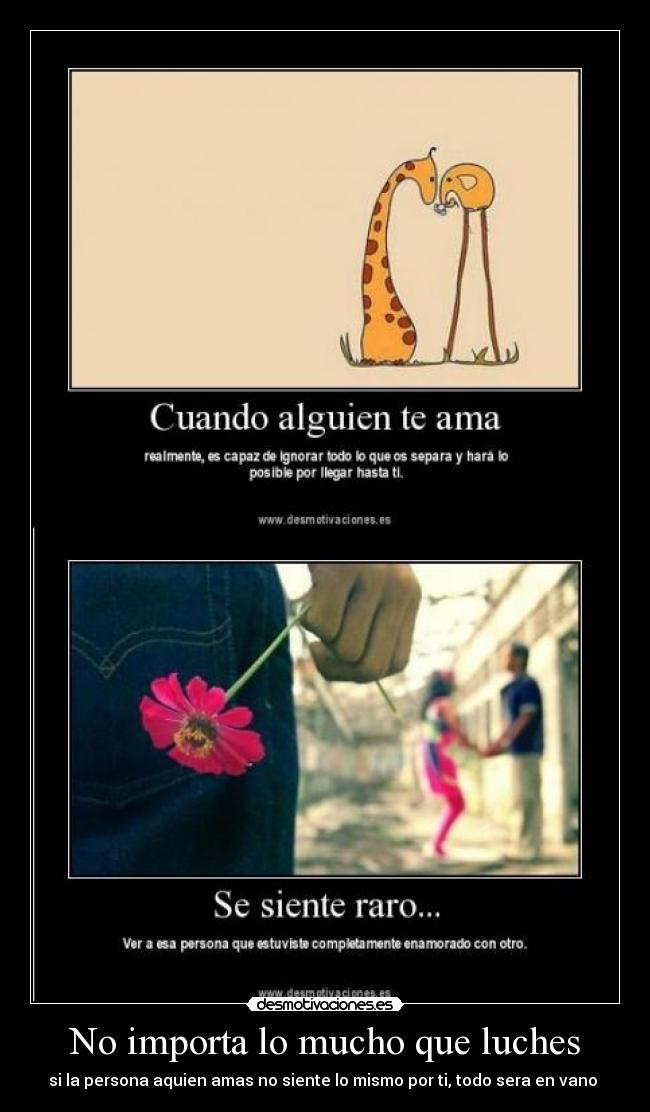 No importa lo mucho que luches -