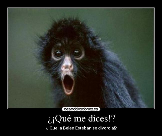 ¿¡Qué me dices!? - ¿¡ Que la Belen Esteban se divorcia!?