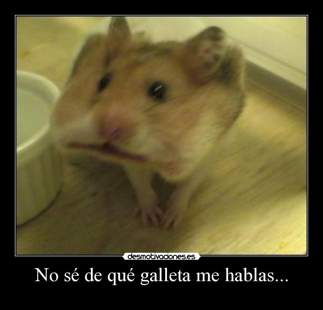 No sé de qué galleta me hablas... - 