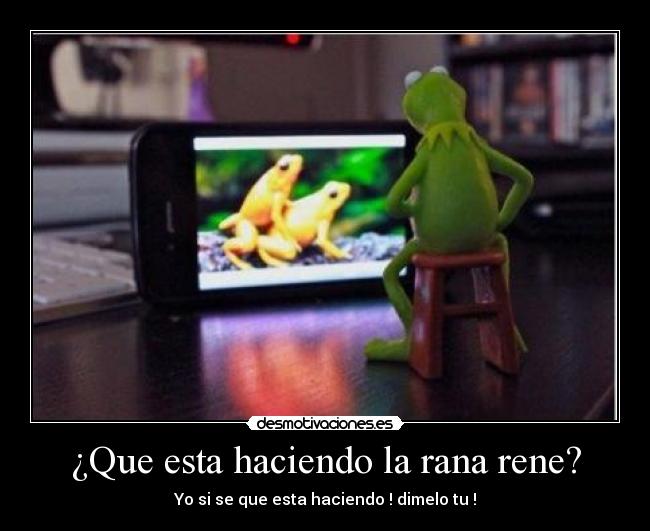 ¿Que esta haciendo la rana rene? - Yo si se que esta haciendo ! dimelo tu !