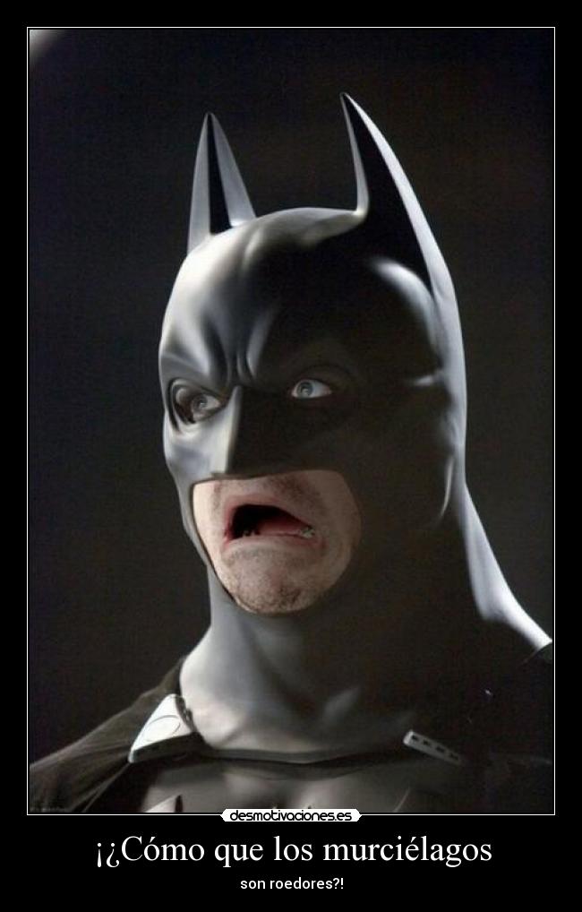 ¡¿Cómo que los murciélagos - son roedores?!