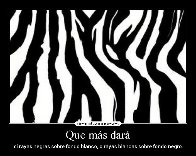 Que más dará - si rayas negras sobre fondo blanco, o rayas blancas sobre fondo negro.