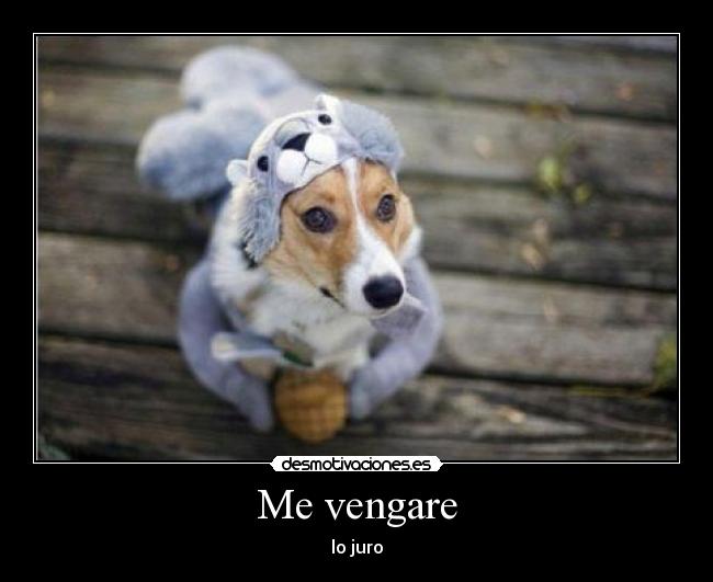 Me vengare - 