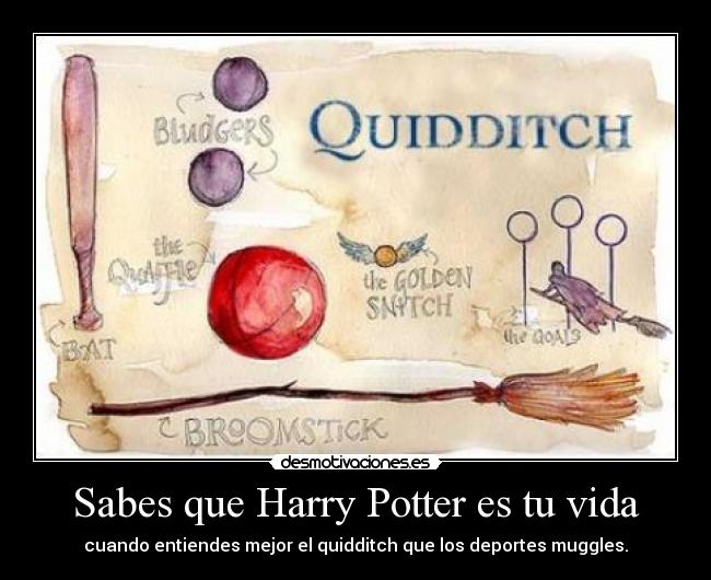 carteles vida harry potter vida infancia siempre rowling quidditch deportes muggles entender always desmotivaciones