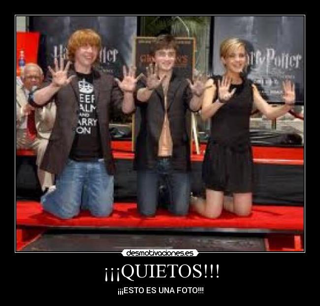 ¡¡¡QUIETOS!!! - ¡¡¡ESTO ES UNA FOTO!!!