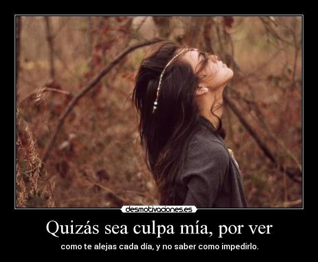 Quizás sea culpa mía, por ver - 