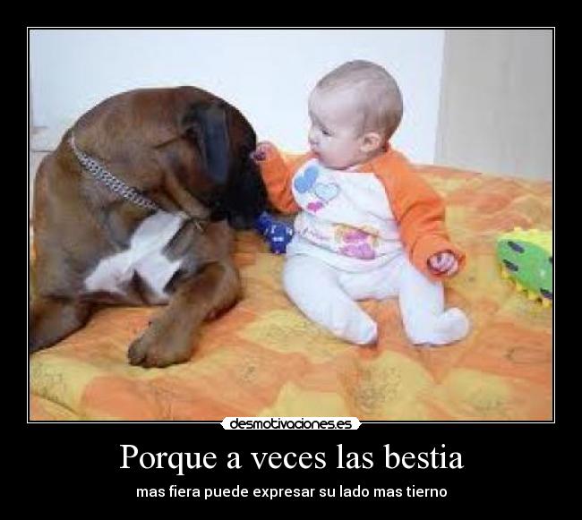 Porque a veces las bestia - mas fiera puede expresar su lado mas tierno