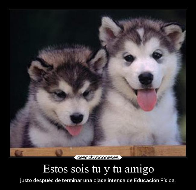 Estos sois tu y tu amigo - justo después de terminar una clase intensa de Educación Física.