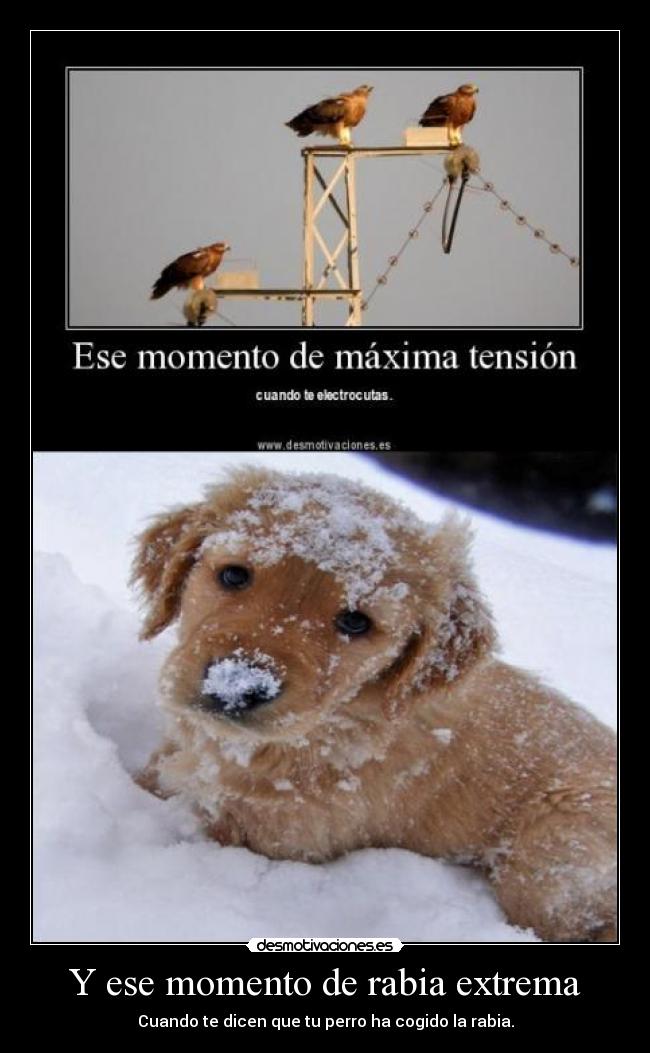 Y ese momento de rabia extrema - 