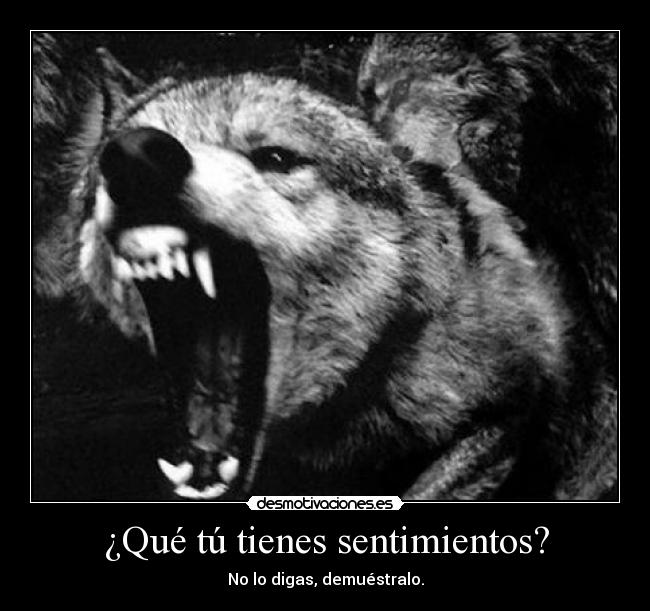 carteles sentimientos mistery0 desmotivaciones