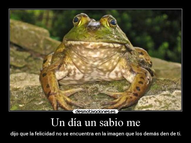 carteles entiendo cartel desmotivaciones