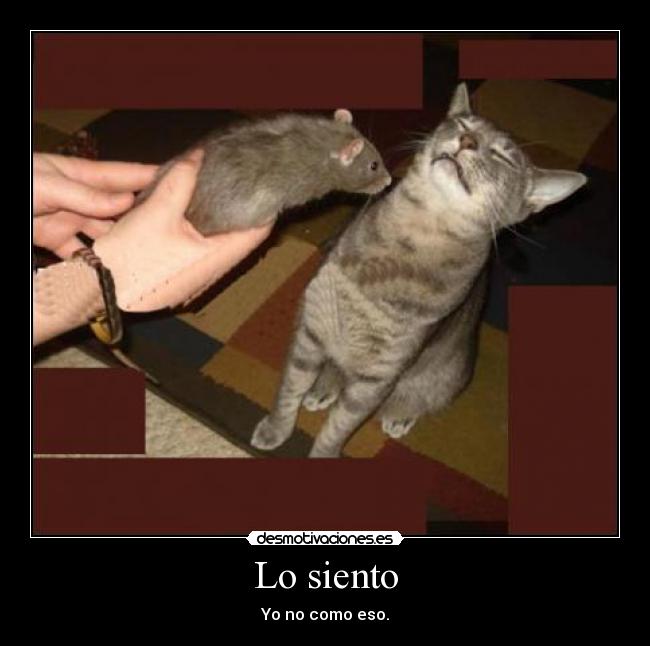 Lo siento - Yo no como eso.