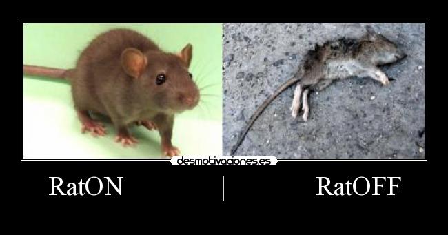 RatON              |             RatOFF - 
