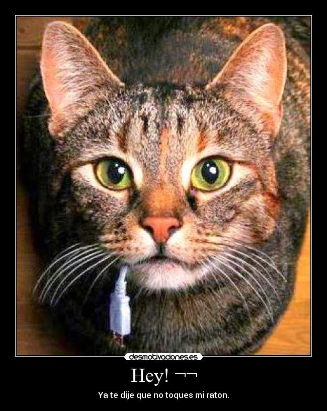 Hey! ¬¬ - Ya te dije que no toques mi raton.