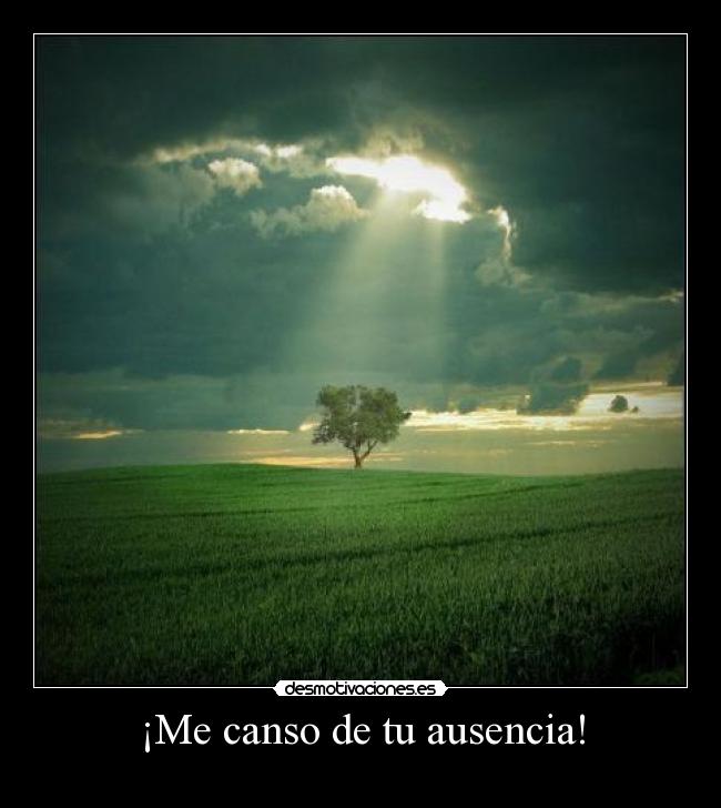 ¡Me canso de tu ausencia! - 