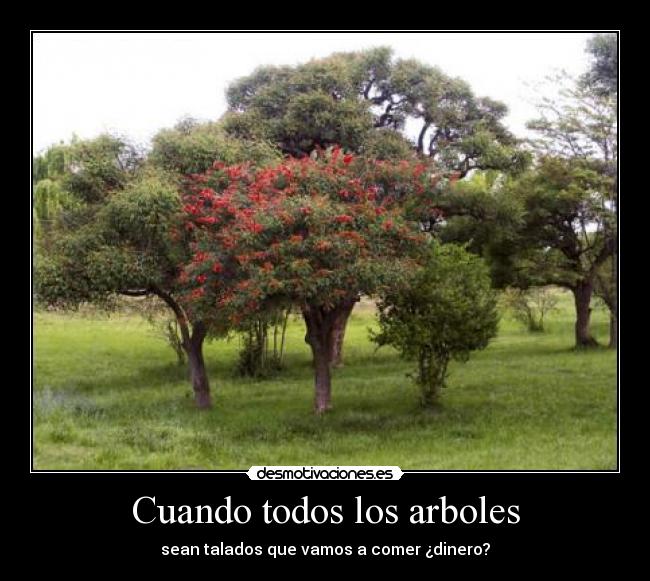 Cuando todos los arboles -