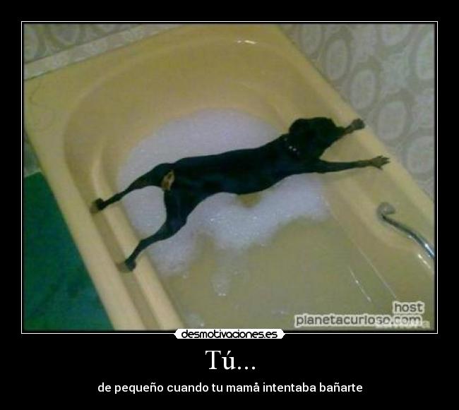 Tú... - de pequeño cuando tu mamå intentaba bañarte