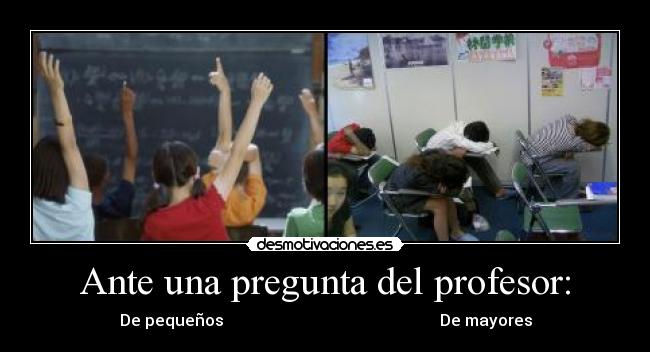 carteles ante una pregunta del profesor pequenos mayores hace caso peter desmotivaciones