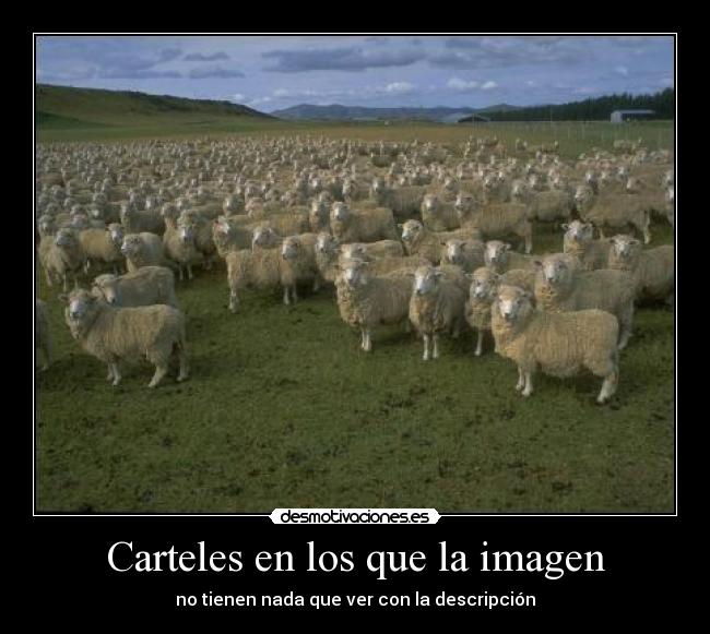 Carteles en los que la imagen - 